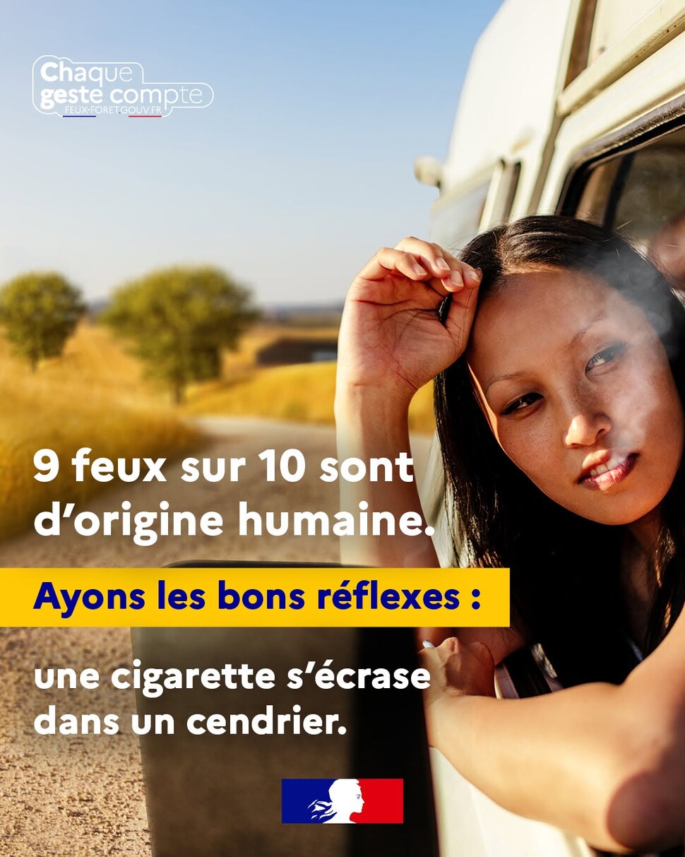 Feux de forêt