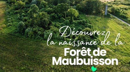 Forêt de Maubuisson JEP 2026