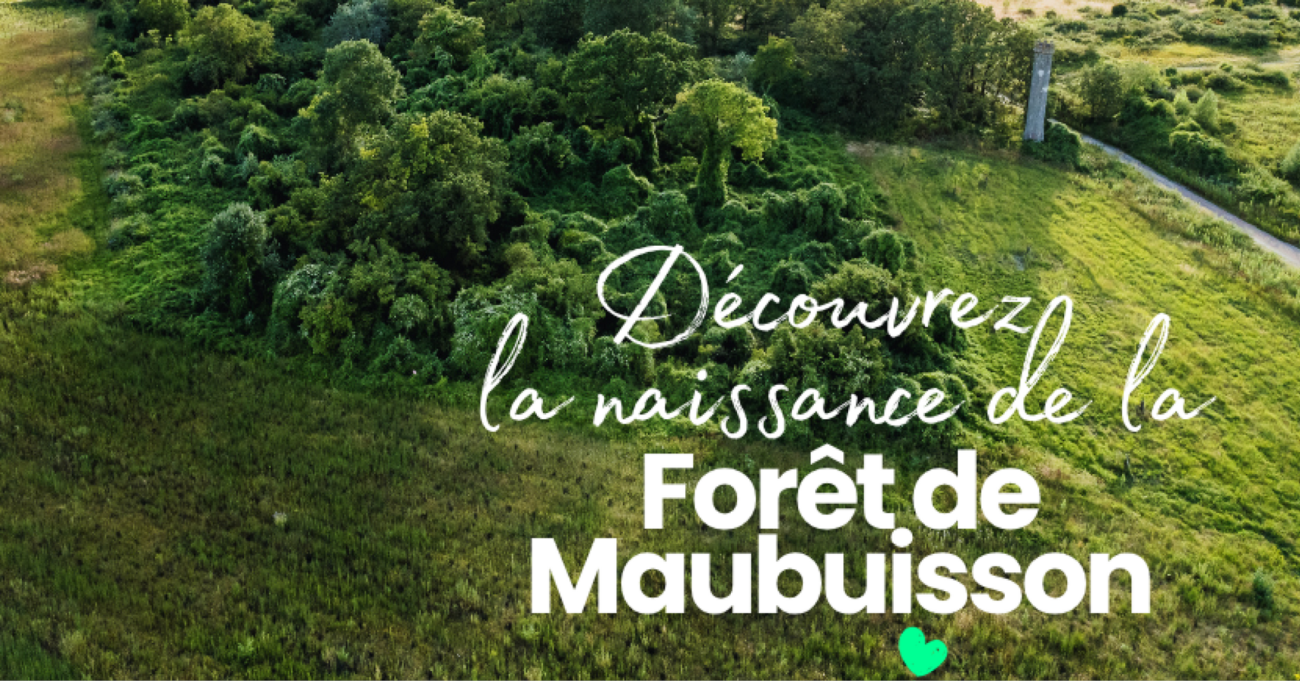 Forêt de Maubuisson JEP 2026