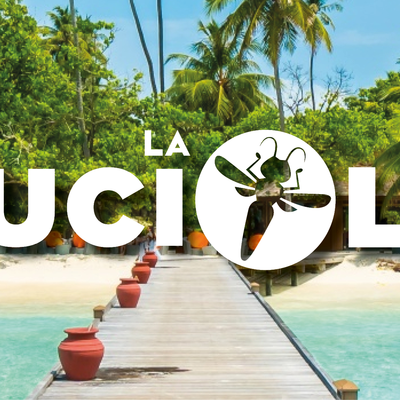 Fermeture estivale La Luciole 2025
